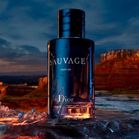 our take on sauvage dior|dior sauvage website.